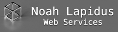 Noah Lapidus (Web Services)